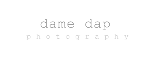 Dame Dap Photography logo